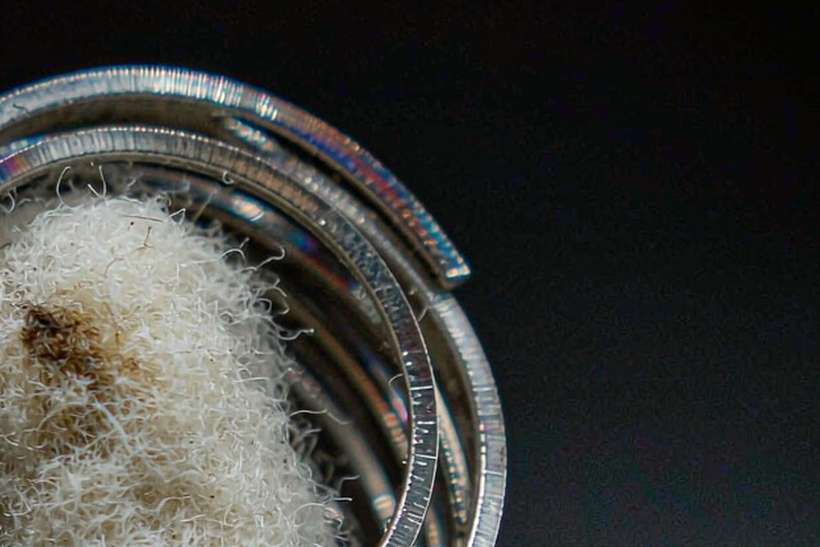 Bulk Distribution for IQOS tanks — bulk case
