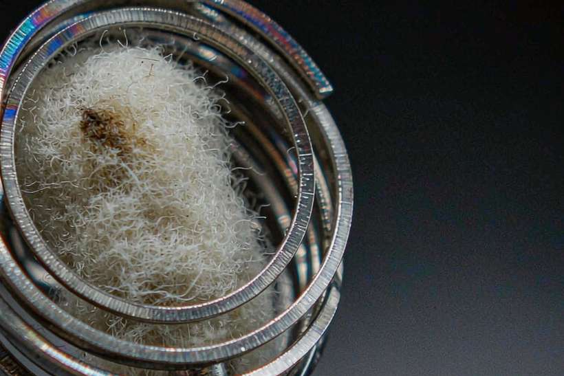 Case Study: IQOS e-liquid — limited batch