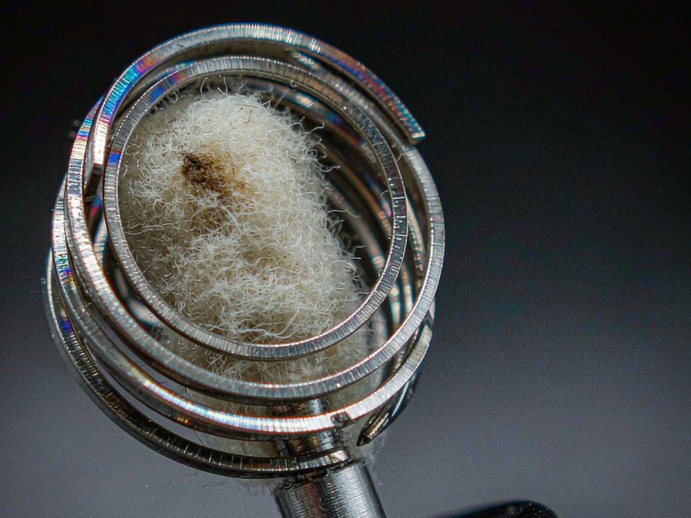 Flavor Catalog of IQOS e-liquid — top rated