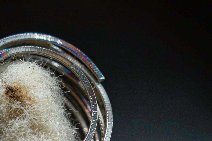 Glossary of IQOS e-liquid — Autumn stock