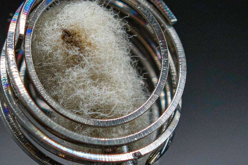 Glossary of IQOS tanks — limited batch