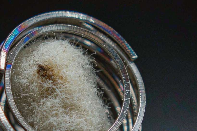 Regional Review of IQOS tanks — limited batch