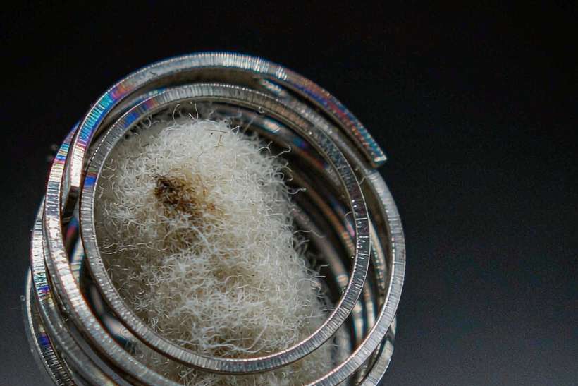 Trend Report on IQOS coils — Middle East
